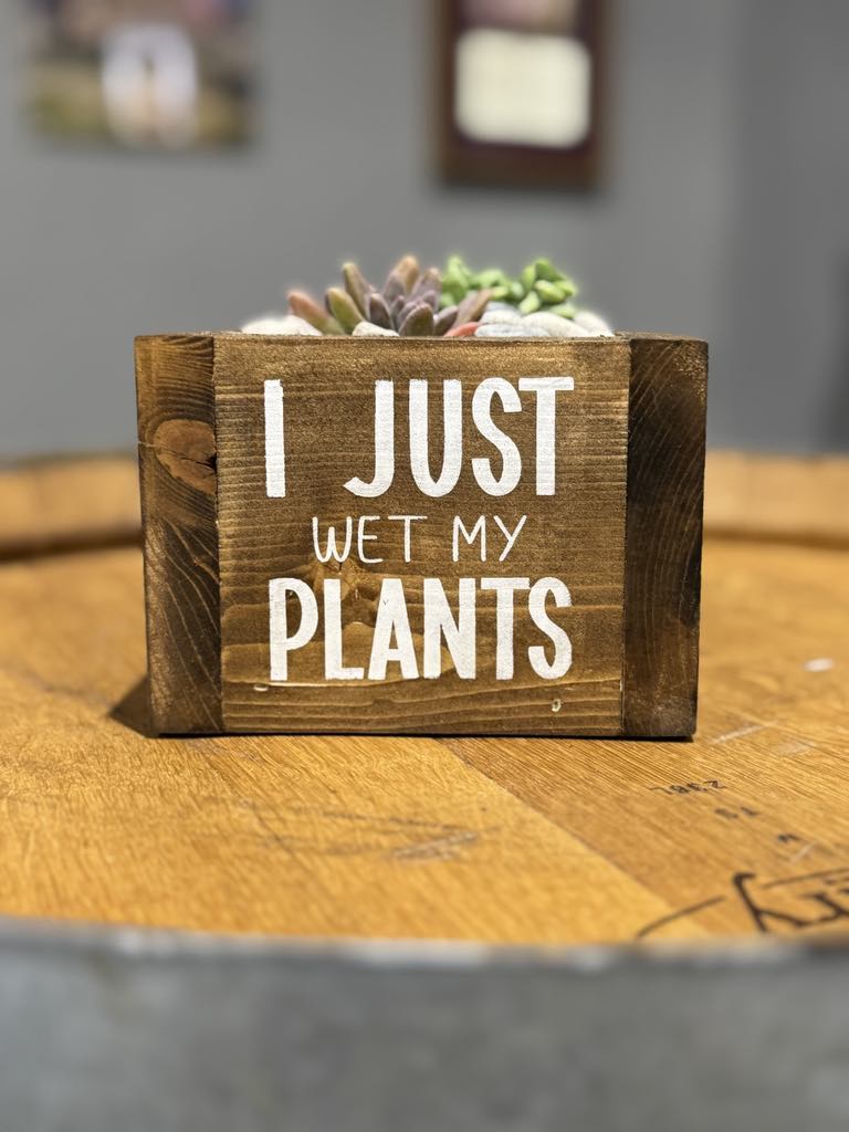 Succulent Planter Workshop (March 22, 2026 1:00pm  @ Solutionz, Marshfield, WI)