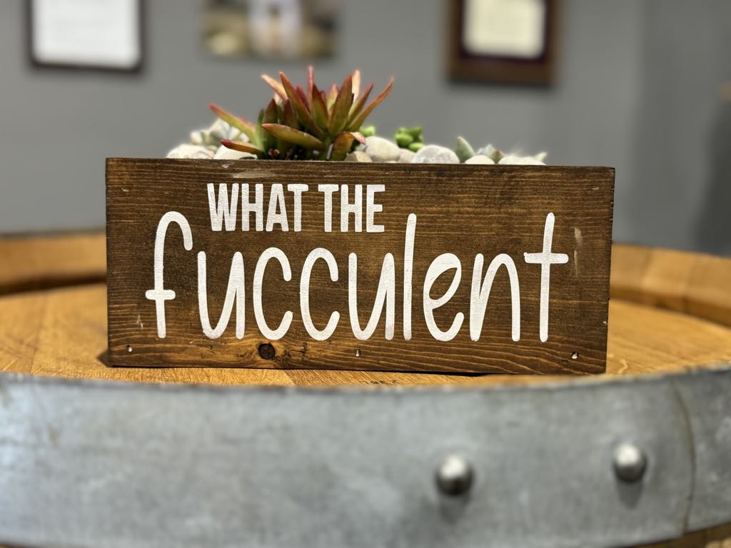 Succulent Planter Workshop (March 22, 2026 1:00pm  @ Solutionz, Marshfield, WI)