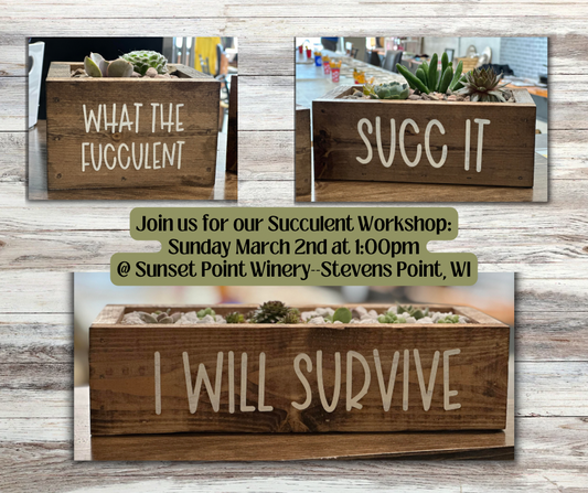 Succulent Planter Workshop (March 2, 2025  @ Sunset Point Winery 1:00pm)