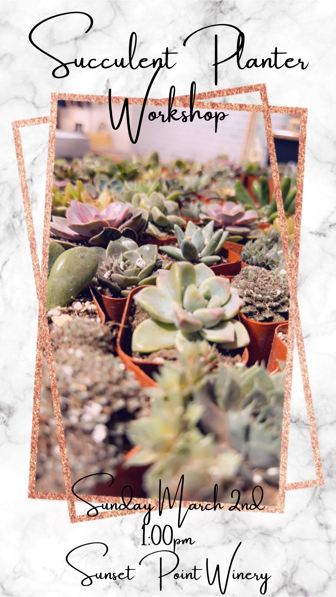 Succulent Planter Workshop (March 2, 2025  @ Sunset Point Winery 1:00pm)