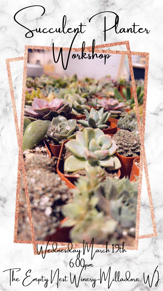 Succulent Planter Workshop (March 19, 2025  @ The Empty Nest Winery 6:00pm)